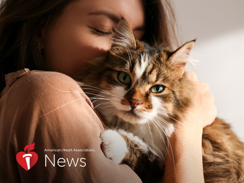 AHA News: Want Your Cat to Stay in Purrrfect Health? Watch Out for Heart Disease