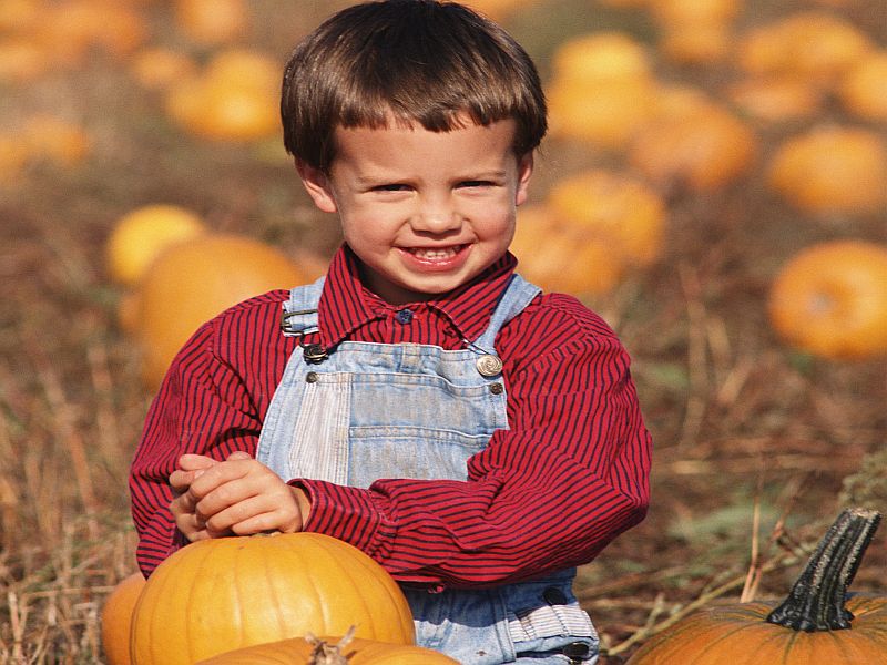 Celebrate Autumn Traditions Without Raising Your COVID Risk