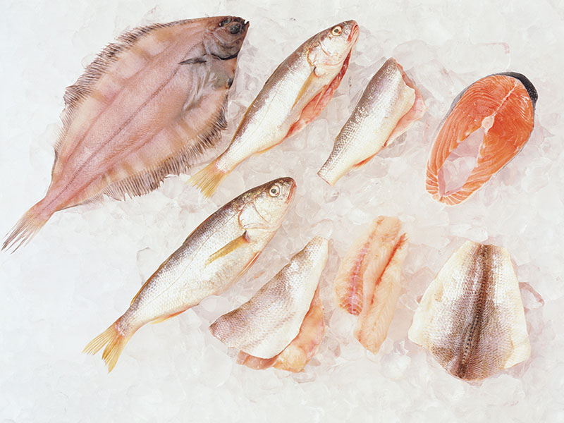 eating fish may curb blindness