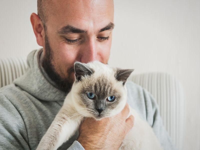 Want Better Rapport With Your Cat? Bat Your Eyes