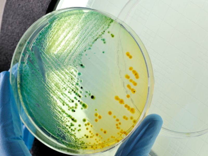 'Nightmare Superbug' Outbreak Could Happen, CDC Warns