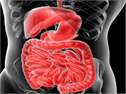 `Dead` Probiotic Bacteria Could Help Ease Irritable Bowel