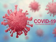 Annual `COVID-19 Season` May Be Here to Stay, Scientists Predict