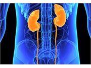 Kidney Transplant Patients at High Risk of Fatal COVID-19: Study