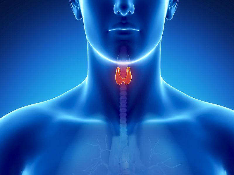 Thyroid Drug May Not Help After Heart Attack: Study