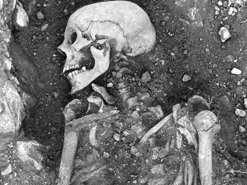 Skeletons May Put Blame on Vikings for Smallpox` Spread