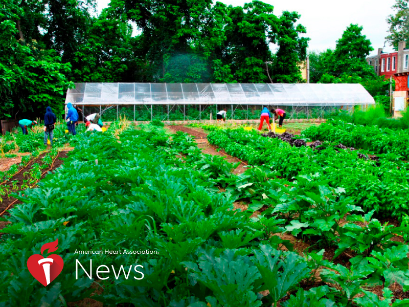 News Picture: AHA News: Farms Flourish and Nourish in Philadelphia Neighborhood