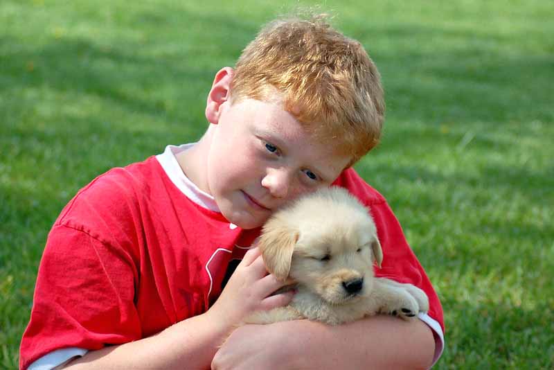 News Picture: Kids Often Hit Hard by Death of Beloved Pet, Study Finds