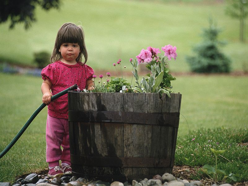 Make a Plan for Gardening Next Spring With Your Kids