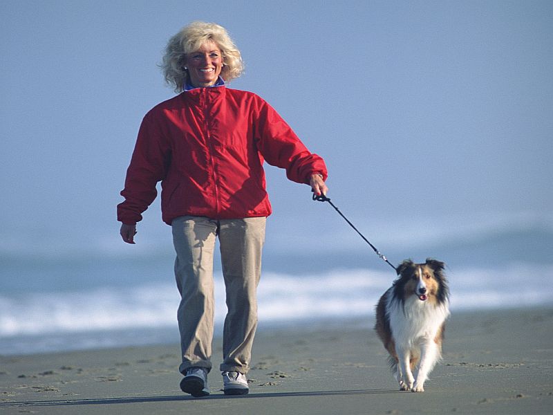 Your Dog May Be Leading You to a Healthier Heart