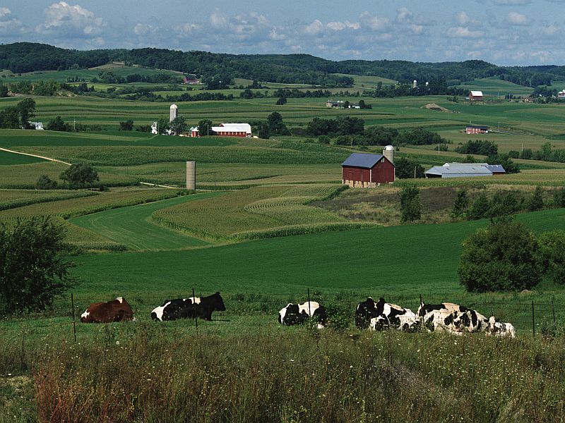 Disparities in Stroke Care Put Rural Americans at Risk: Study