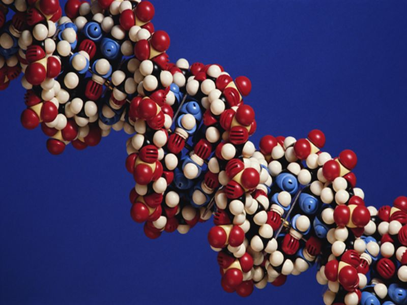News Picture: How to Protect Your DNA for Big Health Benefits