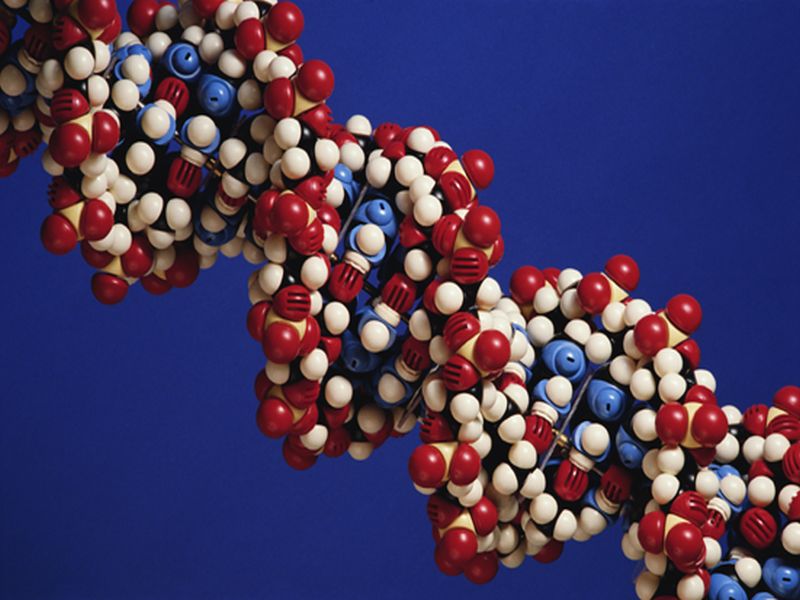 How to Protect Your DNA for Big Health Benefits