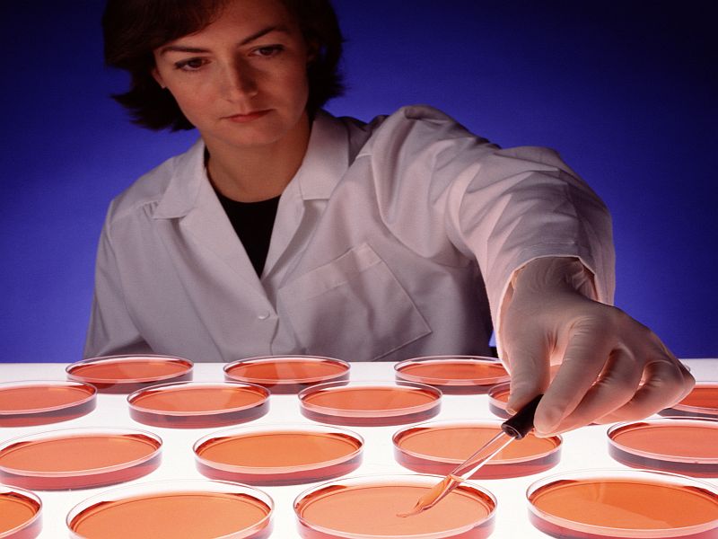News Picture: Your Gut May Be to Blame for Your Bloodstream Infection