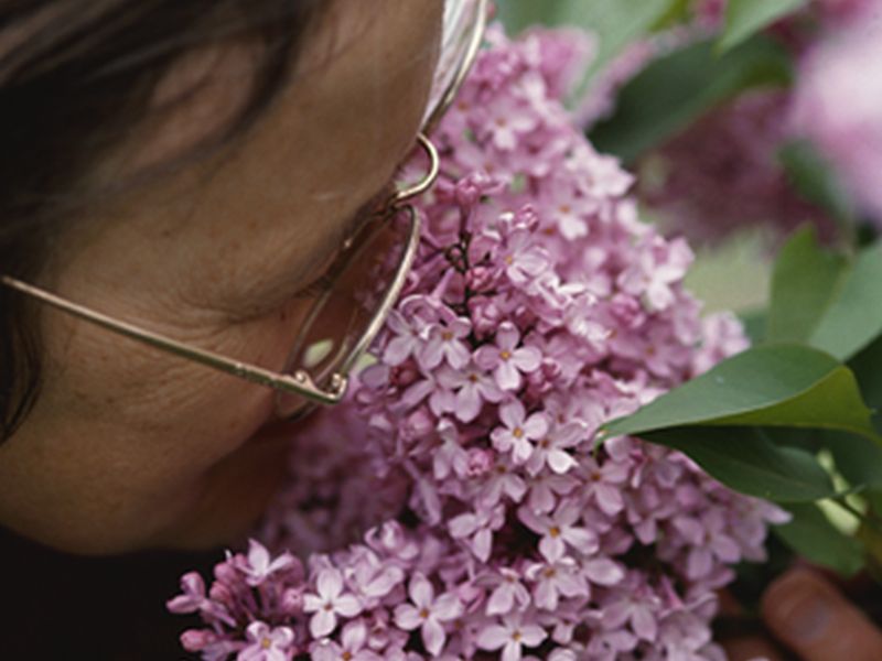 HealthDay news image HealthDay news image