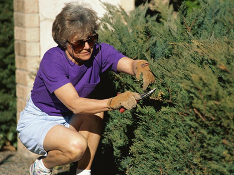 Even Housework, Gardening Can Help an Older Woman's Heart