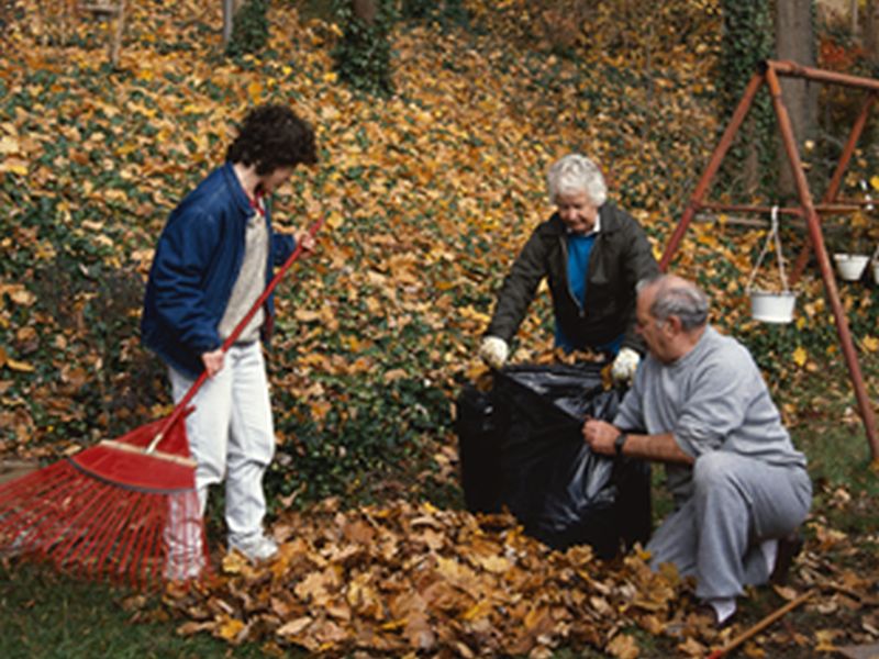 Raking Your Leaves to the Edge of Your Yard an Invitation to Ticks