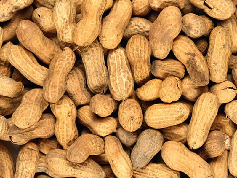 Peanut Allergy Patch Shows Middling Results in Trial