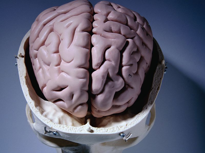 Differences Found in Brains of Kids Born to Depressed Parents