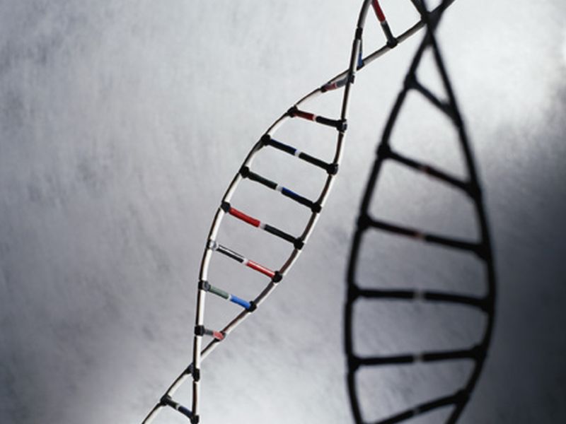 Scientists Move Closer to Mapping Entire Human Genome