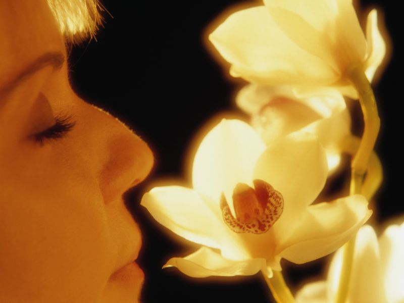 Fading Sense of Smell Could Signal Higher Death Risk in Older Adults