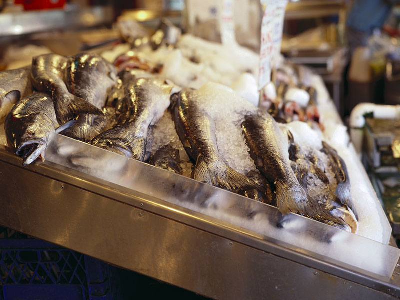 News Picture: Can Eating Fish Make Kids Smarter?