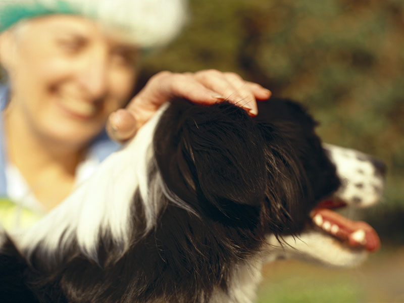 Your Furry Best Friend Might Extend Your Life