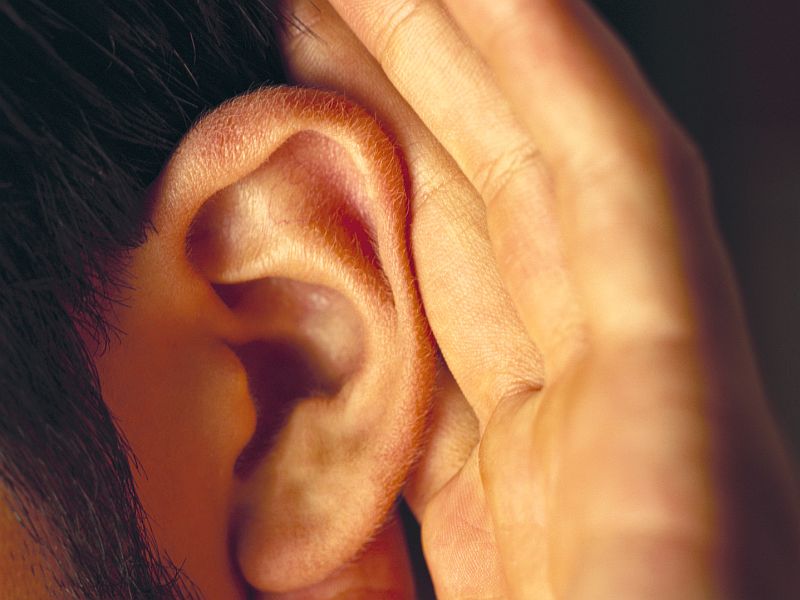 Say What? Like Animals, People Perk Up Their Ears to Hear