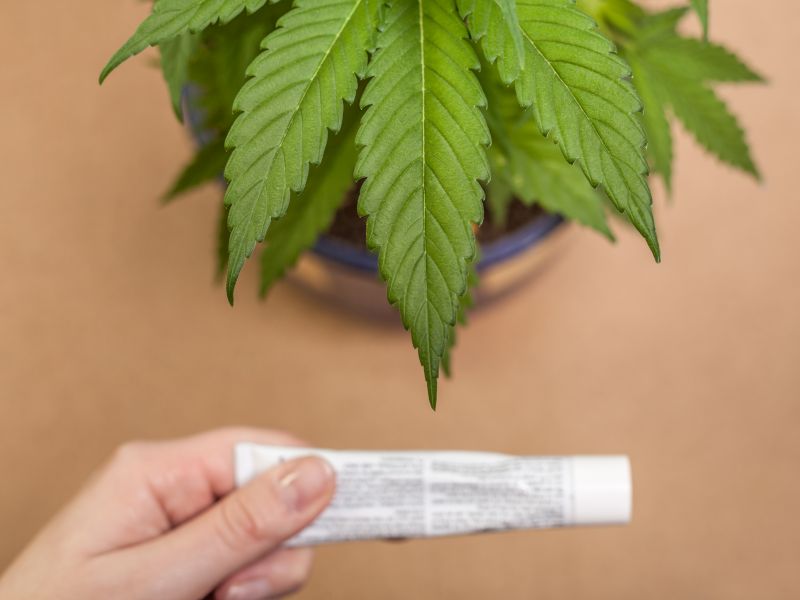 Many Americans Eyeing CBD, Pot as Pain Relievers Without Knowing Risks