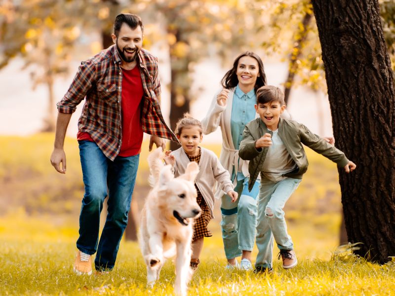 News Picture: Pets May Help Parents of Kids With Autism Fight Stress