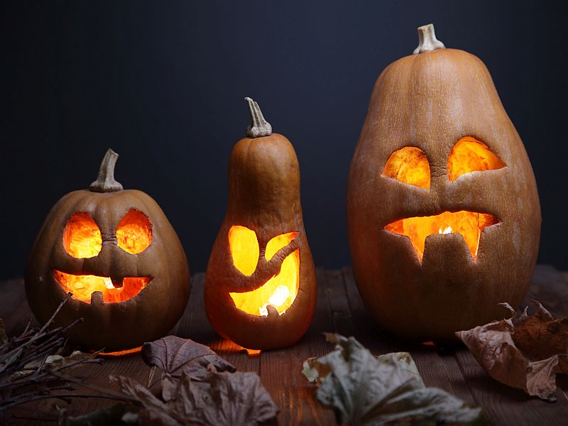 Your Guide to a Safe and Happy Halloween