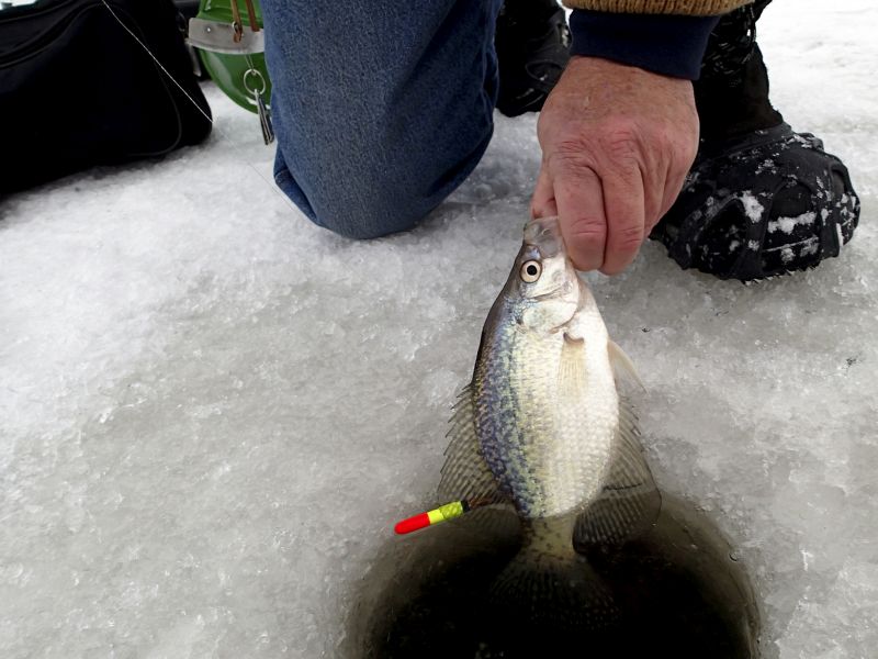 News Picture: Ice Fishing Can Invite Serious Injuries