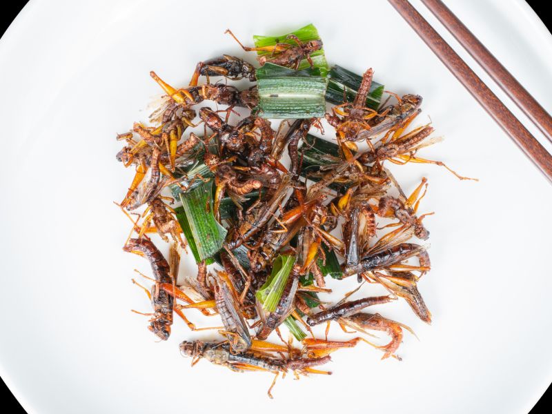 News Picture: Insects as Food? Selling Them as 'Tasty Luxuries' Might Work