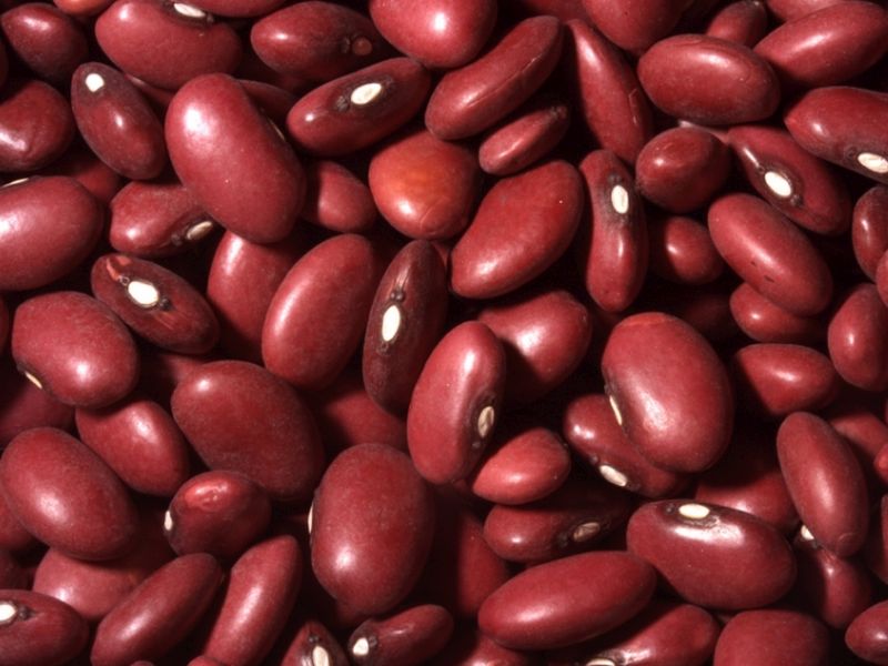 Study: Beans, chickpeas might help with weight loss - UPI.com