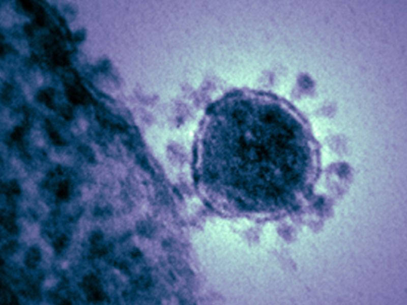 Family's Experience in Vietnam Shows Coronavirus Spreading Outside China