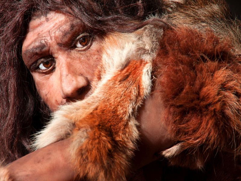 Extinct Human Species Passed on Powerful Immune System Gene