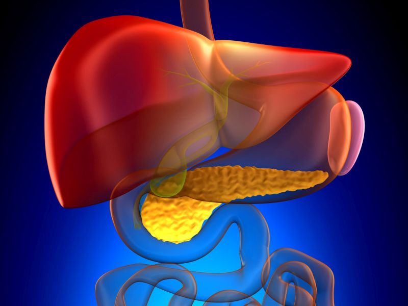 Pancreas Size, Shape Can Return to Normal in Diabetes Remission: Study