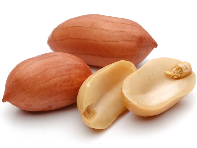 After Peanut Allergy Rx, Eating Small Bits of Peanut Might Help: Study