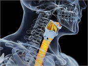 CDC: 2009 to 2017 Saw Increase in Oral Cavity, Pharynx Cancers
