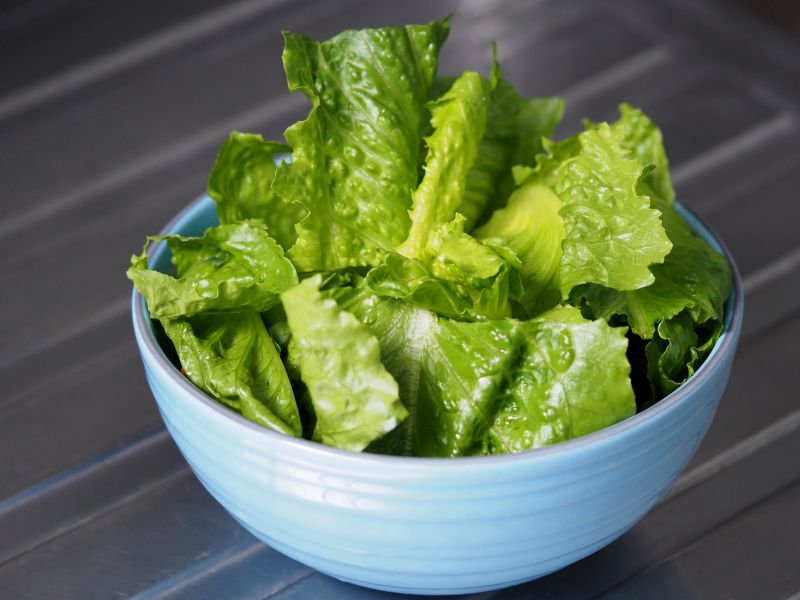 Don't Eat Romaine Lettuce Grown in Salinas, Calif., Due to E. Coli: FDA