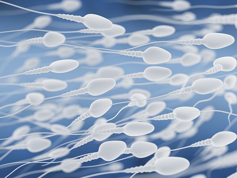 News Picture: Early Life Trauma May Affect an Adult Man's Sperm
