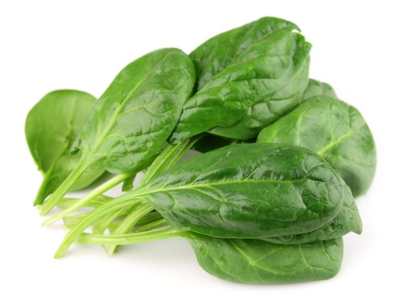 On Some Farms, Washing Machines Give Leafy Greens a Spin -- But Is That Safe?