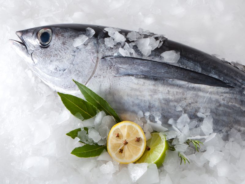 Get Smart About Storing Seafood