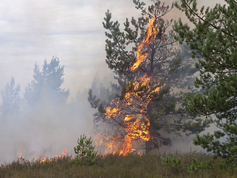 Wildfire Smoke Threatens Health for Miles Around