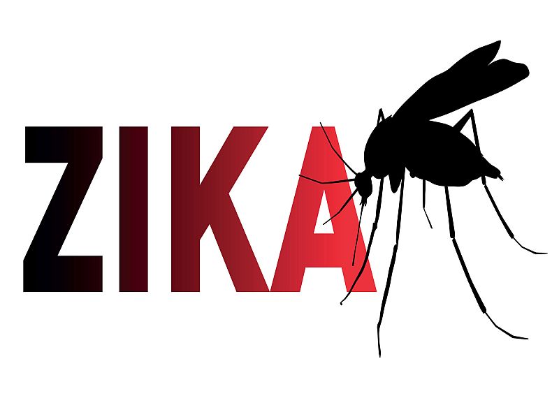 Zika Epidemic Was More Widespread Than Thought: Study