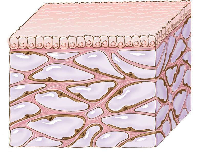 new article illustration